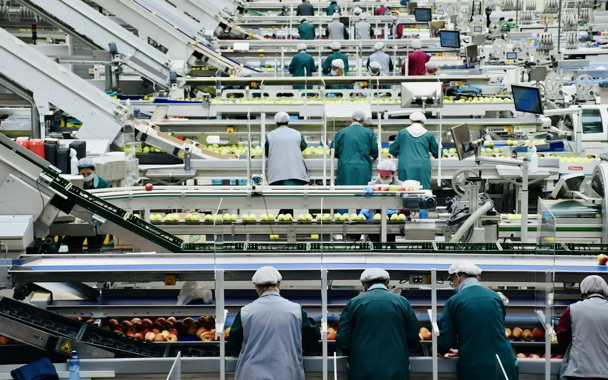 Agroalimentaire : production, vente aux professionnels et produits locaux
