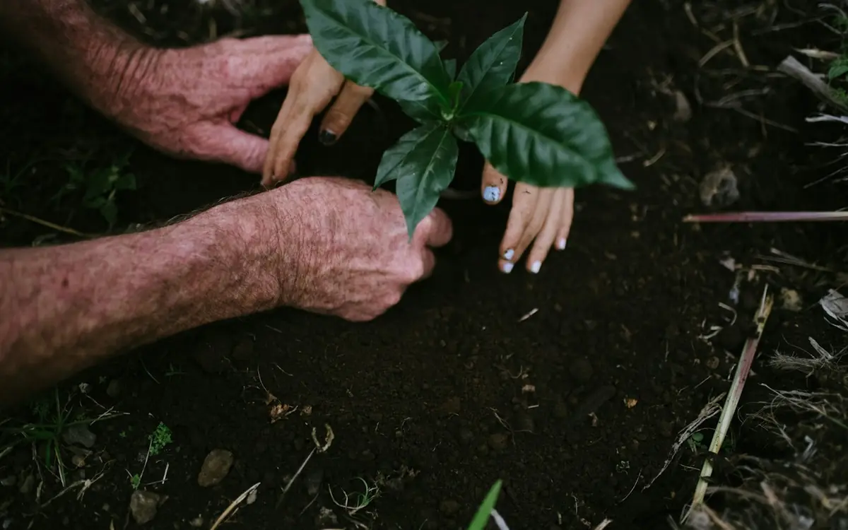 Environnement : Environnement