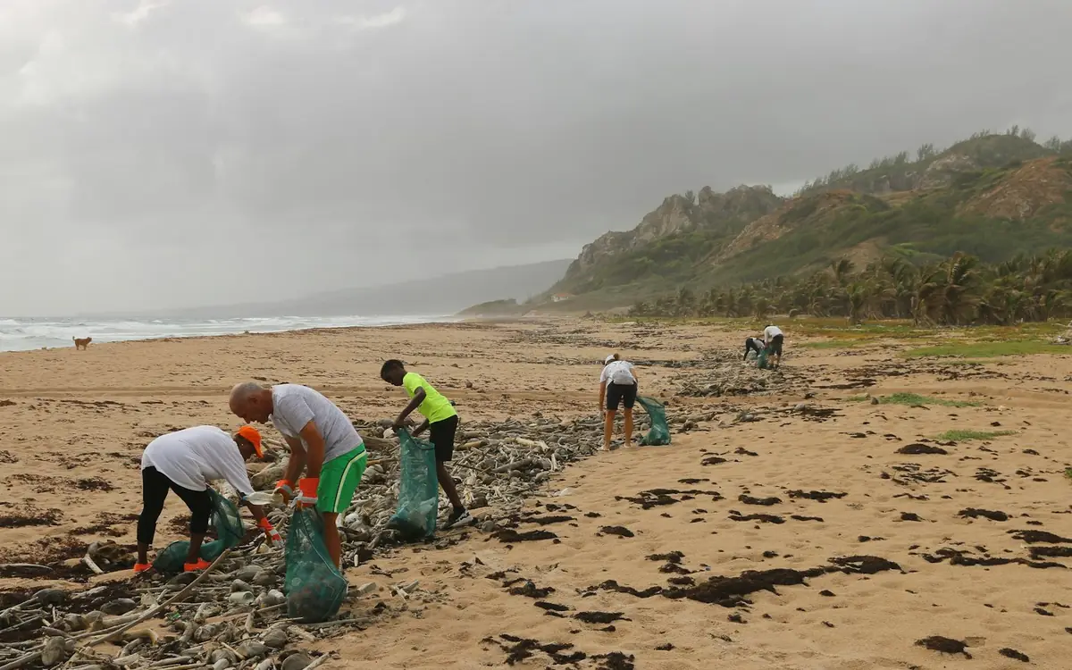 Environnement : actions de terrain