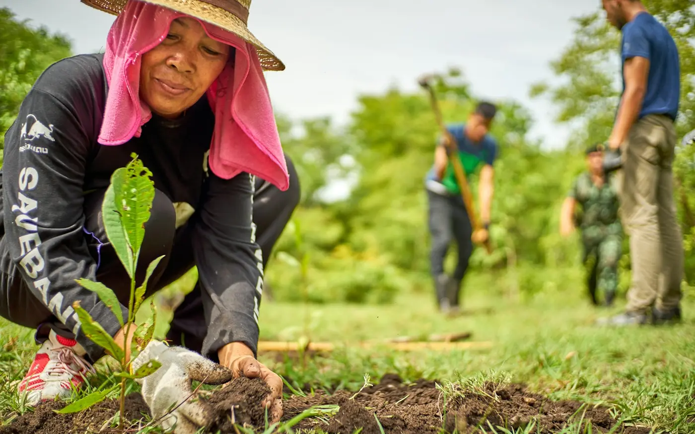 Site internet pour association environnementale
