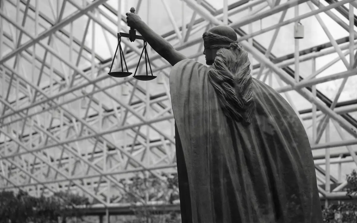 Avocat : droit des affaires